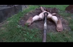 جوجه زرق و برق فیلم سکسی دیدن انلاین دار سواری همسایه