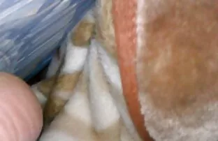 شیطان یک خانم بلوند زیبا دیدن کلیپ سکسی کم حجم fucks در دهان او با Dildo سیاه و سفید ضخیم است
